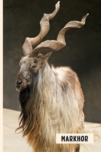 Markhor: Perfect Markhor Journal for Memories And Notes , Markhor Notebook ( 110 Pages, 6x9 )