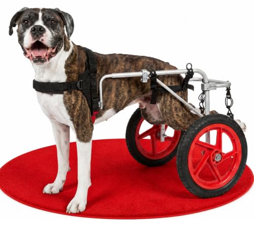 Best Friend Mobility Large Back Leg Wheelchair