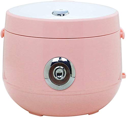 4L Reiskocher mit Hitze Kühlung Funktion, elektrische Schnellkochtöpfe, Non-Stick Kochgeschirr für 2 bis 6 Personen