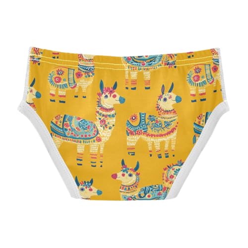 Cute Alpaca Toddler Boy's Underwear 2T 202c00302