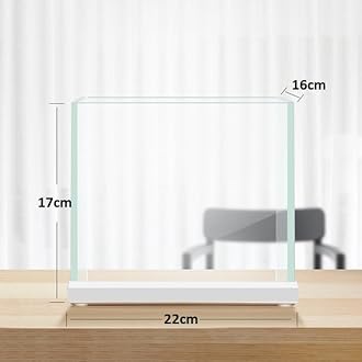 Tigerlily Enterprises Nano Fish Tank – 6L (22x17x16cm) Ultra White Glass Desktop Aquarium with Coral & Rock Landscape & Water Purification Beads for Home & Office Decoration