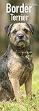 Border Terrier Slim Calendar 2022 | Dog Breed Slimline Calendar - 12 Month: Address Books, Journals...