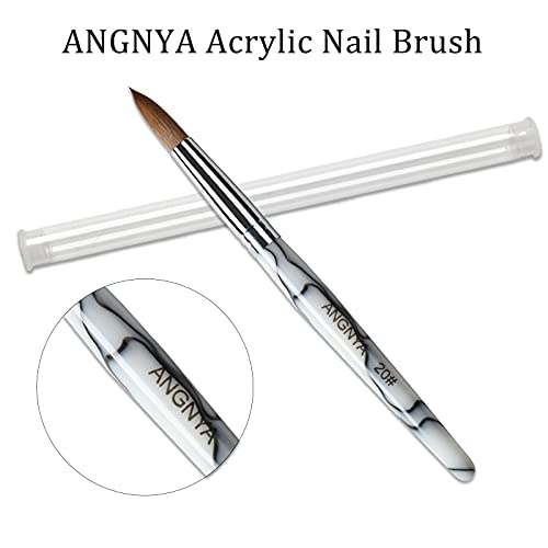 Angnya Kolinsky Acrylic Nail Brush For Nail Extension With White Handle Rould Nail Brushes For Acrylic Application Manicure Pedicure Tools Kolinsky Sable Acrylic Round Nail Art Brush #20 #TOP3