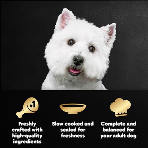 Image of Cesar Filets in Gravy Wet Dog Food Rotisserie Chicken Flavor, Wet Food for Dogs, 1.76 oz. Mini-Pouches, 20 Count