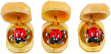 Artisanal 3 boîtes à chagrins - Coccinelles mangeuses de Chagrin en Bois