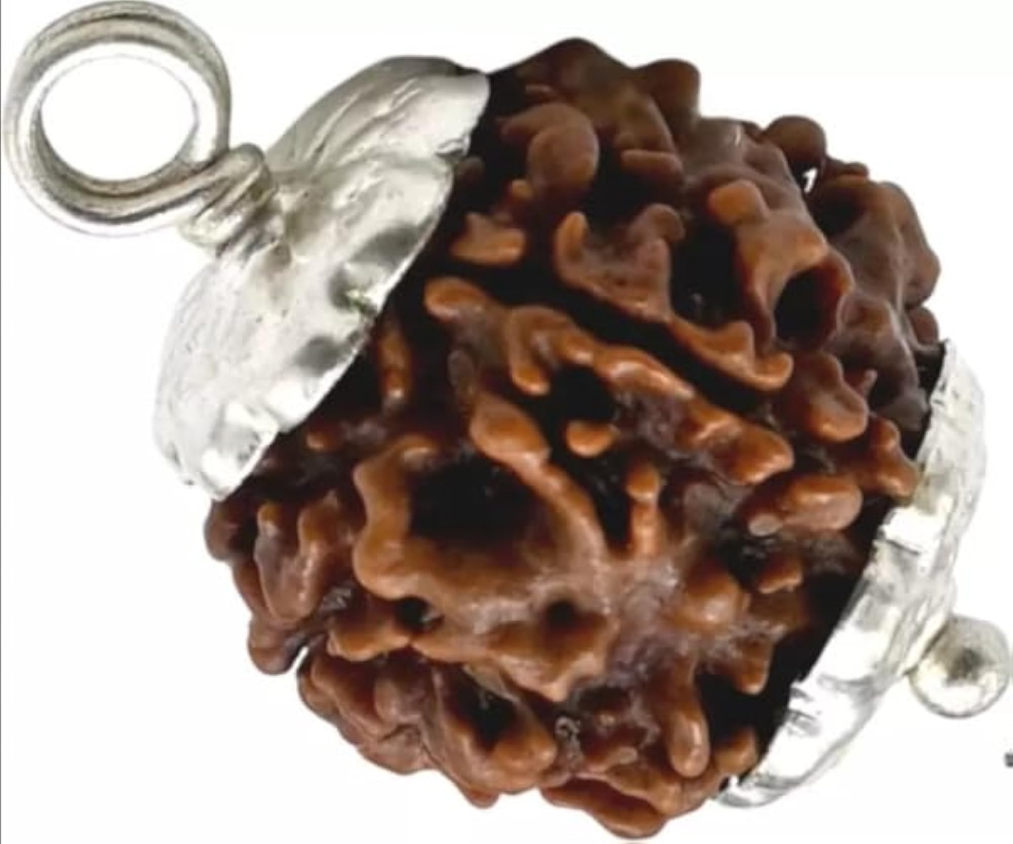 Pure Char Mukhi Rudraksha Bead, Certified