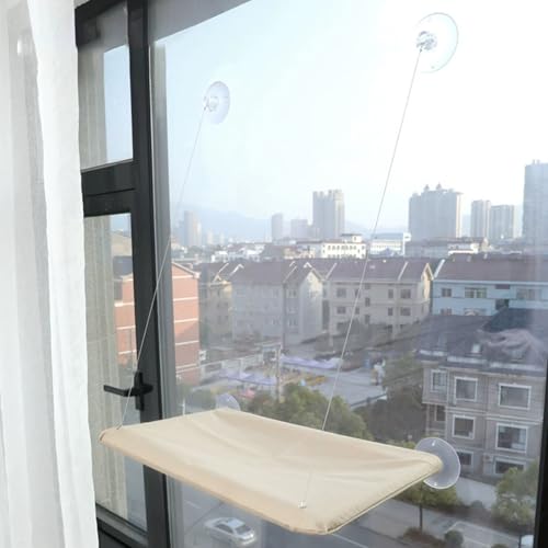 Espace de couchage idéal pour chat d'appartement : éliminez l'encombrement au sol - 8
