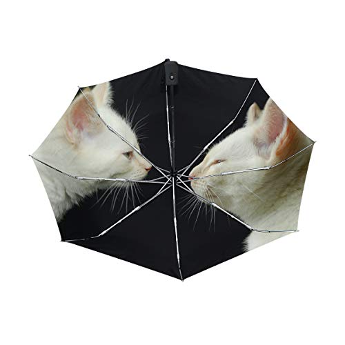 LUYISI ܂ݎP y J Jp lR L bh fB[X uvJbg ^b` OXt@Co[ ϕ [|[`t