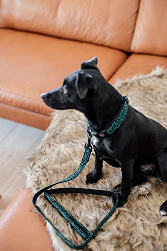 Collier chien pour les petits chiens facile a laver taille S