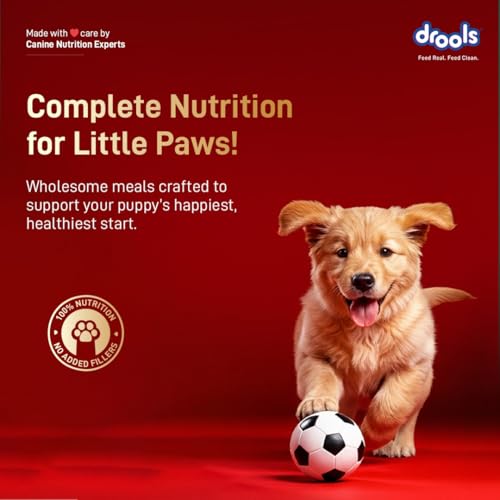 Image of Drools Puppy Dry Dog Food 2.8kg + 1kg | Meat and Milk Flavour | Supports Healthy Brain Development and Cognitive Function | Antioxidants | Chelated Minerals | Better Bioavailability of Minerals