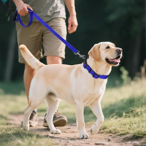 Image of Joytale Reflective Dog Collar, Soft Neoprene Padded, Metal D-Ring, Nylon Pet Collar Adjustable for Large Dogs, Navy Blue, L