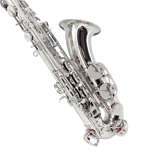 Image of Tenor Saxophone Complete Kit w /Case, Mouthpiece, 10pc Reeds, Professional B Flat Tenor sax, Gold Brass Lacquer, Rich, Warm Tone for Jazz & Classical, Ideal for Students to Pros(Silver)