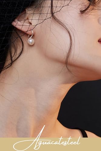 Earrings For Women Sterling Silver 925 Elegant Design Jewelry Hypoallergenic Women's Earrings2