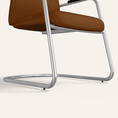 Image of Interio by Godrej La Sede Visitor Leather Executive Chair Dark Tan