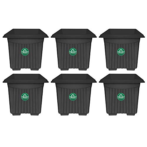 TrustBasket UV Treated Square Plastic Planter (6 Inches) – Black Color- Set Of 6 For Rs. 124 @ 87 % TrustBasket UV Treated Square Plastic Planter (6 Inches) – Black Color- Set Of 6 For Rs. 124 @ 87 %