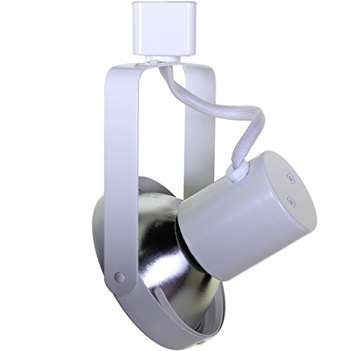 Direct-Lighting PAR30 Gimbal Ring Line Voltage Track Lighting Head White