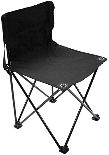 Portable Gallery Folding Chair By Proactive Sports