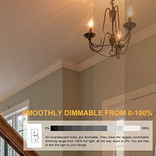 Litbulbs 10 Pack Edison Screw Candle Light Bulbs, Dimmable Clear Candle SES/E14 Small Screw Chandelier Bulbs 2700K Warm White, 410LM, 240V