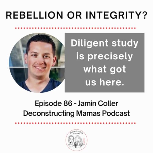 Rebellion or Integrity? - Jamin Coller cover art