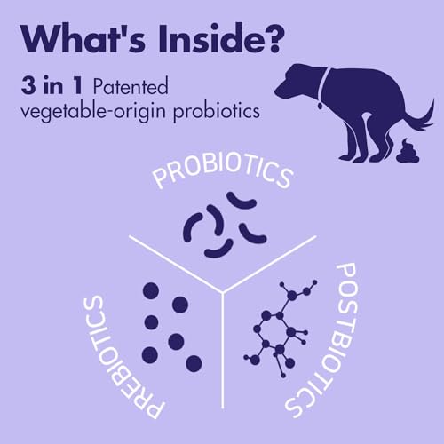 Image of Lacto Pet, Vegetable Dog Probiotics Powder and Digestive Enzymes - Pollack Flavor, Supports Immune Function, Digestive Support, Digestive Health Diarrhea, Helps Control Binge Eating & Weight, 2.1oz.