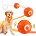 DAILINK Pelota de Juguete Inteligente, Juguete Automático para Perros, Pelota Interactiva para Perros, Duradera y Automática, para Cachorros, Pequeños y Medianos, Recargable por USB