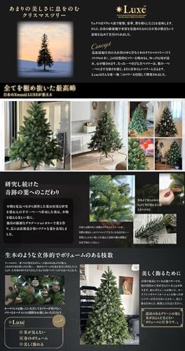 Amazon.co.jp: YouTen: クリスマスツリー