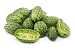 15 Cucamelon Seeds - Mouse Melon, Mexican Sour Gherkin, Mini Watermelon, Melothria Scabra - by RDR Seeds