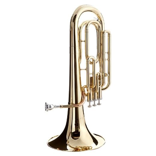 Hawk WD-BT511 Lacquer Baritone Horn with Case and Mouthpiece, Brass