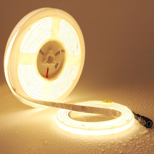 TOPAI Striscia LED 5 Metri Bianco Caldo Impermeabile, Alta Luminosità 2500lm/M 20W/M, 24V Neon Strip LED 3000K Esterno, Uniforme Senza punti, Meglio della striscia LED COB