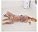 Selena Dog Rainwear Hooded Clear Waterproof Jacket Pregnant Large Raincoat Pet Outdoor Apparel (X-Large,Clear)