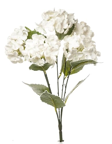 Flower Fantasy ARPIMEX ARPIMEX Bush 6 Ortensie Innevate Natale 48 Cm Bianco