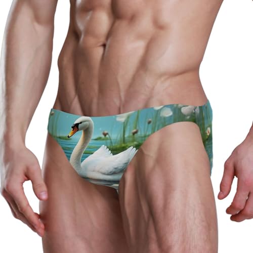 Swan Flower Men's Swimwear Sexy Bikini Solid Siwmming Briefs L 208482804