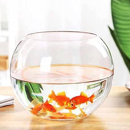 See full amazon price history chart for Shree Baake Bihari Ji Traders Crystal Clear Transparent Zig Zag Neck Bowl Aquarium,Fish Bowl,Glass Vase for Home/Office Decoration (10 inches) Without Collar Shree Baake Bihari Ji Traders Crystal Clear Transparent Zig Zag Neck Bowl Aquarium,Fish Bowl,Glass Vase for Home/Office Decoration (10 inches) Without Collar (B0BS68MN2D) Amazon Price History, Amazon Price Tracker