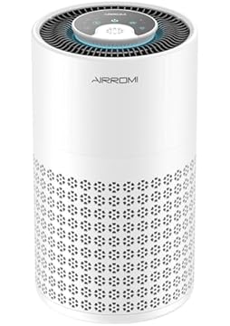 best air purifier for cat