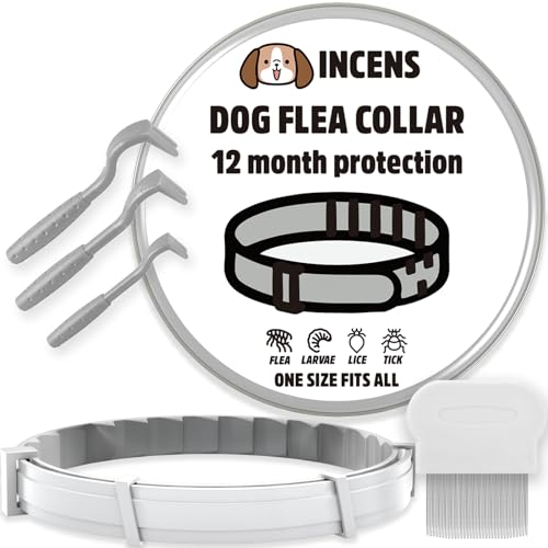 INCENS Collar antipulgas para perros, collar antipulgas y antigarrapatas, peine antipiojos, herramienta para eliminar garrapatas, protección durante 12 meses, 1PACK