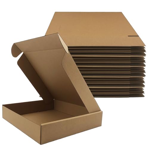 Juego de 25 cajas de envío de 11 x 10 x 2 pulgadas, caja de cartón corrugado marrón para embalaje, mudanza y almacenamiento de pequeñas empresas, embalaje de comercio electrónico (11 x 10 x 2