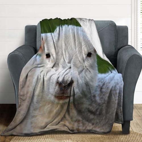 Couverture polaire chaude pour lit : en finir avec le froid grace au motif mouton - 5