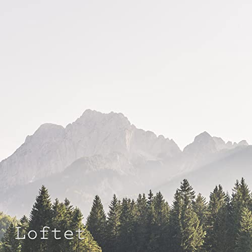 Loftet