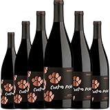 Cuatro Pasos Mencía, vino tinto joven con paso por roble que combina frescura frutal y suavidad, ideal para disfrutar en cualquier ocasión informal o especial | 6 botellas
