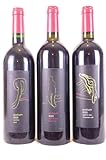  lot de 3 bouteilles vin de pays de carcassonne podium - elevé en cuve inxox - fût de chêne français et américain - rouge 2005