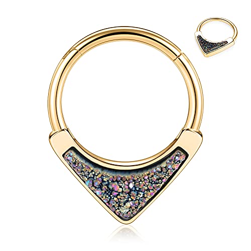 hengkaixuan Anneaux de nez 16 g en acier chirurgical 316L Segment Helix Cartilage Conque Créoles Créoles Conque Bijoux de piercing Daith, Métal Cover