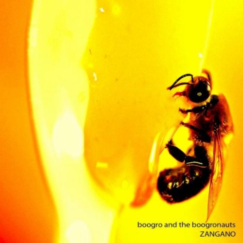 Amazon.com: Zangano : Boogro and the Boogronauts: Digital Music