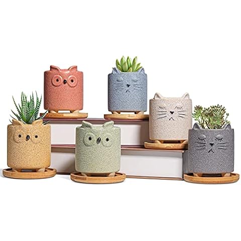 T4U 7CM Cute Animal Plant Pots, Small Animal Planters with Saucer Set of 6, Little Ceramic Pots for Succulents Cactus, Cute, Decoration Gift for Garden Home Office (No Plants) Cover