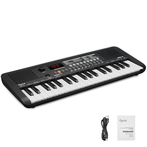 MK-2 Mini Keyboard Piano Electronic Keyboards with 37 Keys 40 Songs 200 Sounds 200 Rhythms Digital Piano with Midi Function Portable Electric Piano(19.3 x 7.3 x 1.9)(Black)