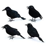 4 Unidades de Cuervos de Halloween realistas con Plumas Negras, Cuervos espeluznantes de Halloween, decoración de Cuervos para Exteriores: Conjunto de decoración jardín y hogar con Soporte.