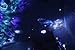 StarmakerFX Glow in The Dark Cosmic Star Ceiling Painting Mural Room Decor Kit DVD Training Manual and Tools