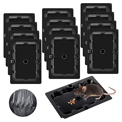 Qualirey 12 Pack Mouse Size Baited Glue Traps With Butter Scent For Mouse And Household Pests, Strong Sticky Plastic Mouse Traps With Non Toxic Glue, Ready To Use, Safe To Children And Pets #TOP13