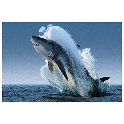 Set de table requin mer résistant à la chaleur lot 6 antidérapant - 2