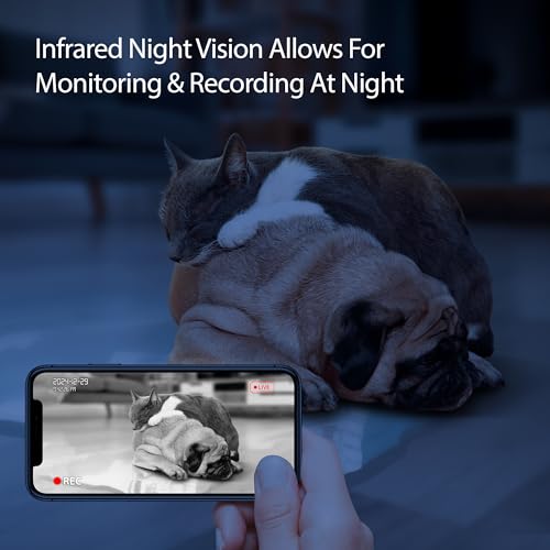 Energizer Smart Pet Feeder with 2K Video Camera, 5Ghz & 2.4Ghz Dual Band Wi-Fi, 2-Way Audio, Night Vision, 4L Food Capacity, Remote Feeding Dogs & Cats, Compatible with Alexa & Google, Records - image 5