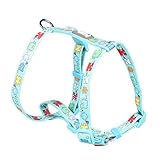 2.Soft-Stoff mit glatten Kanten kann Reibung verringern und die Beine und den Hals des Hundes ziehen, damit der Hund bequem geht.